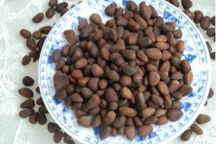 大興安嶺野生小松子 源自林海的自然饋贈(zèng)