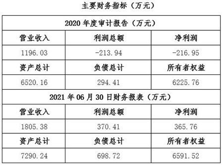 湖北民航技術服務公司股權轉讓項目解析 聚焦技術服務與技術成果轉移